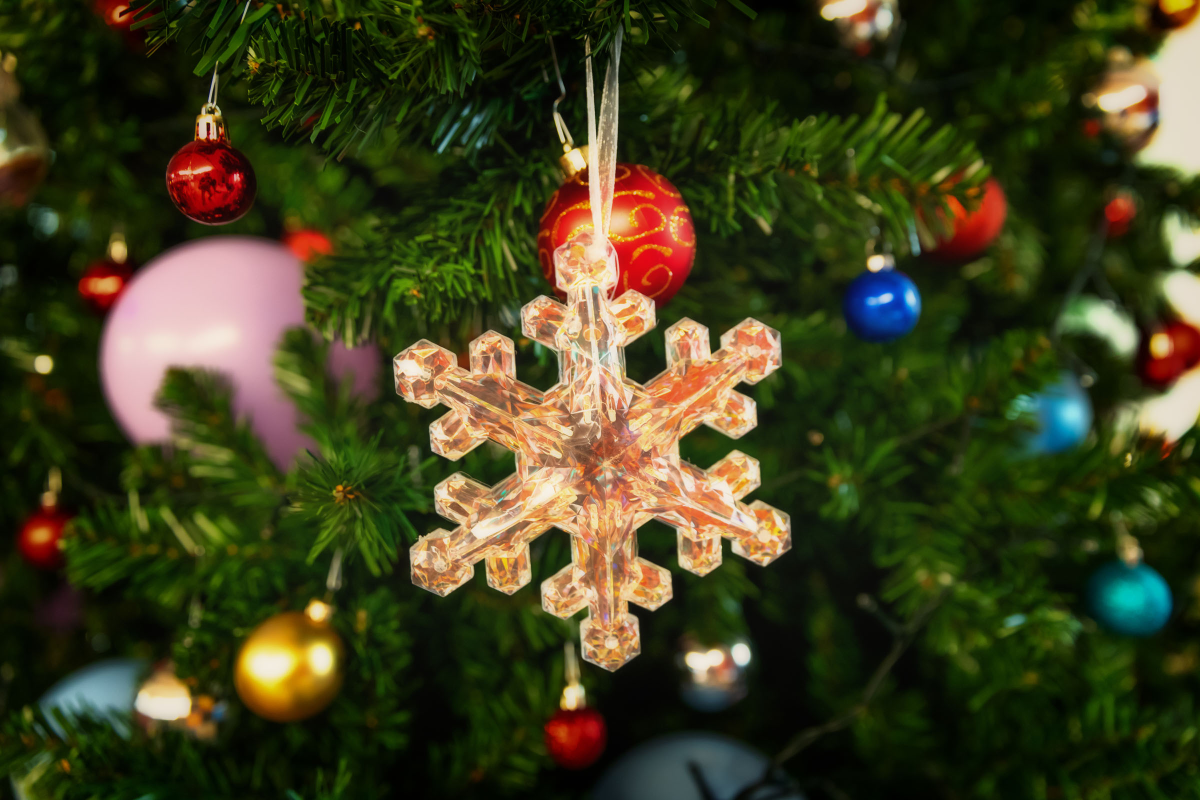 Eindrücke von der Weihnachtsfeier am 14. Dezember 2024